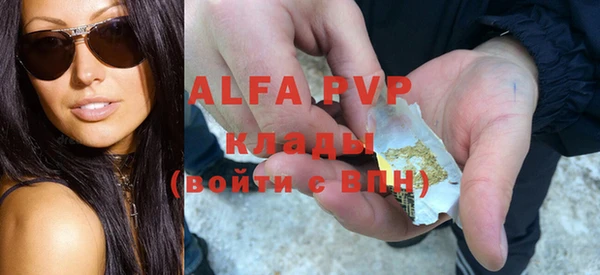 прущие грибы Баксан