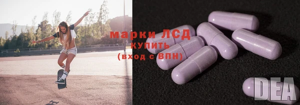 прущие грибы Баксан