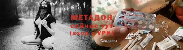 прущие грибы Баксан