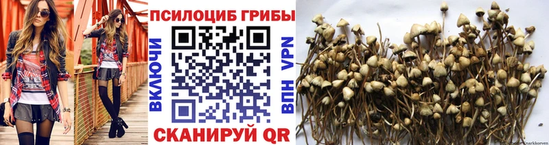 Галлюциногенные грибы Psilocybe  Шарыпово 