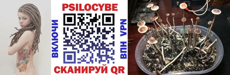 Псилоцибиновые грибы мухоморы Шарыпово